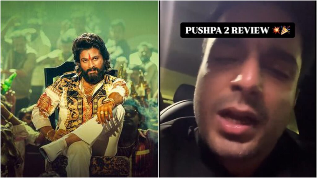 Pushpa 2 brutal review