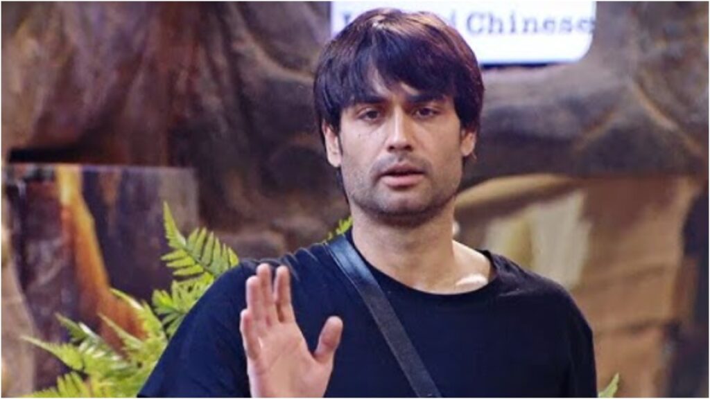 bigg boss 18 vivian dsena (1)