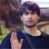 bigg boss 18 vivian dsena (1)